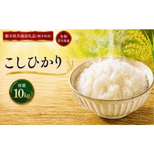 ふるさと納税 米 コシヒカリ 栃木県 真岡市 令和8年度産 こしひかり 10kg | ごはん 栃木県産 栃木県 真岡市 ふるさと納税 栃木県共通返礼品 栃木県産 こしひ…