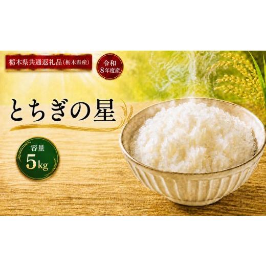 ふるさと納税 米 栃木県 真岡市 令和8年度産 とちぎの星 5kg |ごはん 栃木県産 栃木県 真岡市 ふるさと納税 栃木県共通返礼品 栃木県産 とちぎの星 5kg