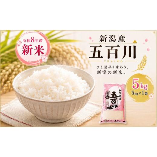 ふるさと納税 米 新潟県 新潟市 令和8年産新米新潟産五百川5kg