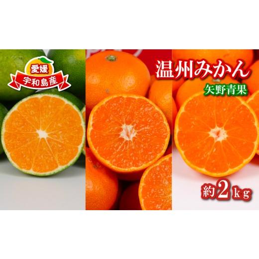 ふるさと納税 果物類 みかん 愛媛県 宇和島市 温州みかん 小玉 中玉 約2kg 矢野青果 極早生 早生 南柑20号 フルーツ 柑橘 蜜柑 mikan 温州 うんしゅう わせ 早…