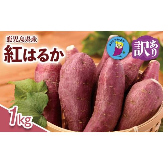 ふるさと納税 野菜類 サツマイモ 鹿児島県 大崎町 訳あり さつまいも 紅はるか 1kg 大崎町