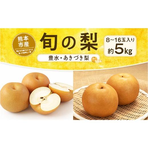 ふるさと納税 梨 熊本県 熊本市 旬の梨 ( 豊水 、 あきづき梨 ) 約5kg 8玉 〜 16玉入り 梨 ナシ なし 果物 くだもの フルーツ 果実 果汁 果肉 季節限定 フル…