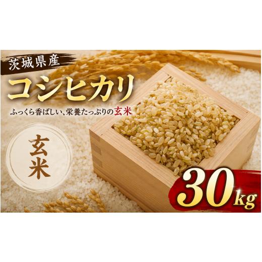 ふるさと納税 玄米 茨城県 筑西市 玄米 コシヒカリ 30kg 米 お米 数量限定 ご飯 ごはん コメ 白米 ライス げんまい こしひかり 期間限定 2025年産 R7産 玄米30…