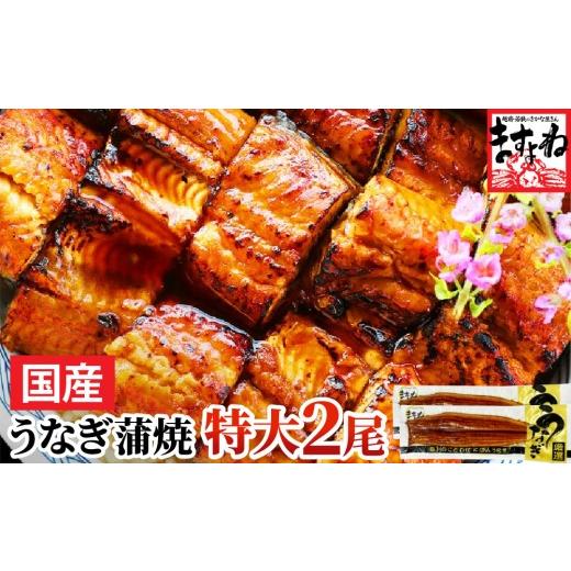 ふるさと納税 うなぎ 福井県 敦賀市 国産 うなぎ蒲焼き 2尾セット (約165g×2尾) 001-a032(20)