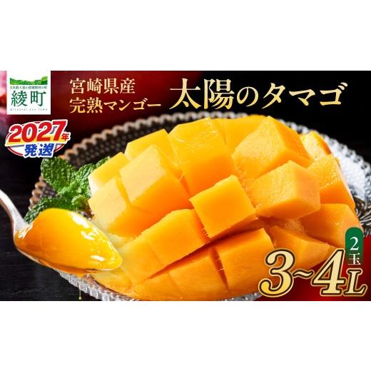 ふるさと納税 マンゴー 宮崎県 綾町 先行予約 数量限定 完熟マンゴー 『太陽のタマゴ 』 2玉 約1kg マンゴー 宮崎 果物 フルーツ くだもの 2027年 国産 高級 …