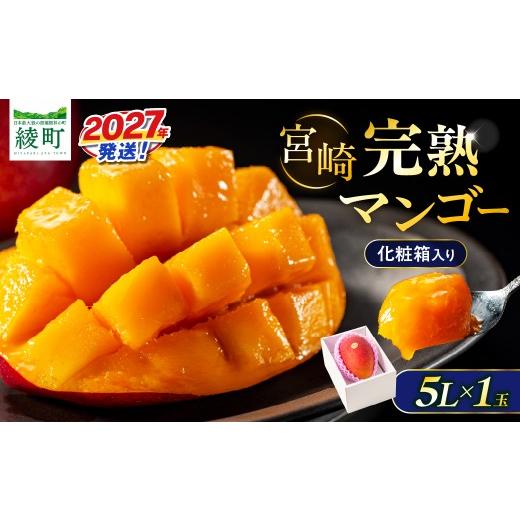 ふるさと納税 マンゴー 宮崎県 綾町 先行予約 完熟マンゴー 5L×1玉(化粧箱)マンゴー 宮崎 果物 フルーツ くだもの 2027年 国産 高級 マンゴージュース 南国…