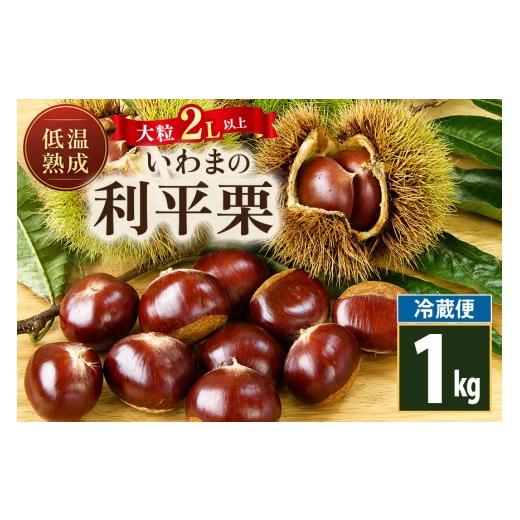 ふるさと納税 果物類 栗 茨城県 笠間市 低温熟成 いわまの利平栗2L以上(冷蔵便)1kg 栗 くり クリ 国産 小田喜商店 笠間市 かさま 茨城県 いばらき 1kg