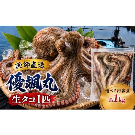 ふるさと納税 タコ 山口県 平生町 瀬戸内 海の幸 セット 真空 生タコ チルド 容量 選べる 約 1kg | 魚 魚介 タコ たこ 海 幸 生タコ チルド 海鮮 マダコ 瀬戸…