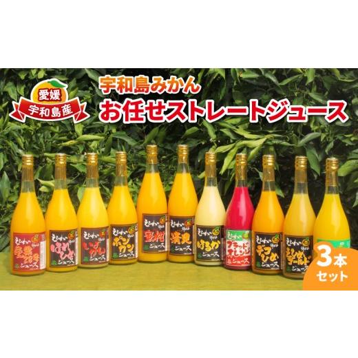 ふるさと納税 果汁飲料 みかん 愛媛県 宇和島市 みかんジュース 宇和島みかん お任せ ストレート ジュース 3本セット ワールドファーマーズ 果汁 飲料 柑橘 み…