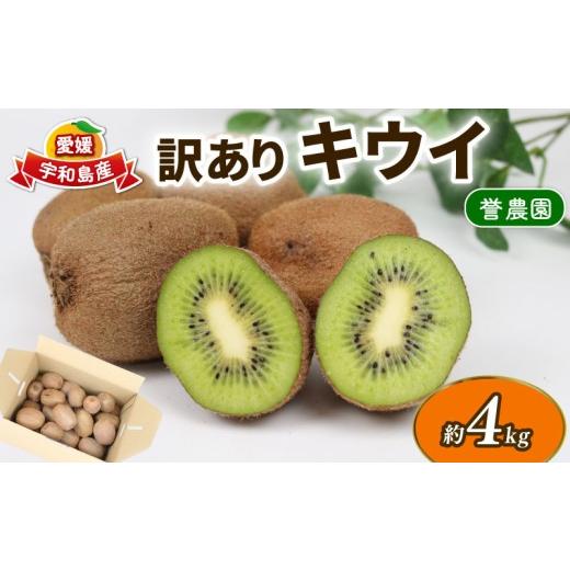 ふるさと納税 果物類 愛媛県 宇和島市 訳あり キウイ 4kg 誉農園 先行予約 わけあり サイズ 不揃い キウイフルーツ 甘い 果物 くだもの 訳アリ 訳あり品 訳有…