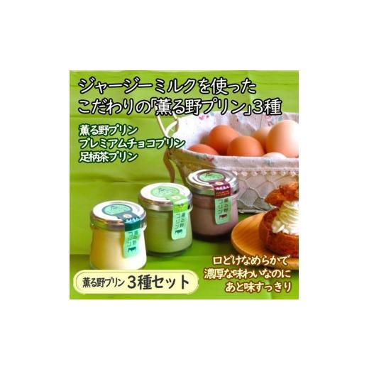ふるさと納税 菓子 プリン 神奈川県 南足柄市 薫る野プリン3種セット6個入〔2個×3種〕(プレーン/プレミアムチョコ/足柄茶プリン)牧場直送のジャージー牛…