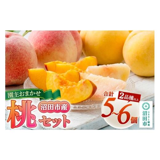 ふるさと納税 もも 群馬県 沼田市 園主おまかせ桃セット(5〜6個)詰め合わせ フルーツ王国松井 夏の味覚 夏の果物 夏のフルーツ 桃 もも モモ momo 旬物 ぴー…