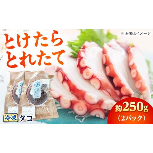 ふるさと納税 タコ 長崎県 小値賀町 とけたらとれたて タコ (下処理・瞬間冷凍済み)2パック(250g以上)長崎県 小値賀町