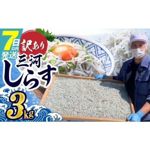 ふるさと納税 魚貝類 しらす 愛知県 碧南市 訳あり 大モリ3kg バラエティ豊富な三河しらす〜海の仲間たち〜 魚介類 しらす シラス 国産 大容量 海の幸 ご飯の…