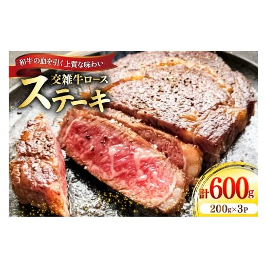 ふるさと納税 牛肉 ロース 愛知県 江南市 牛肉 国産交雑牛ロース ステーキ 200g 3パック 計600g ??ユーエイエム 愛知県 江南市 ko23btu600023 ロース 和牛 国…