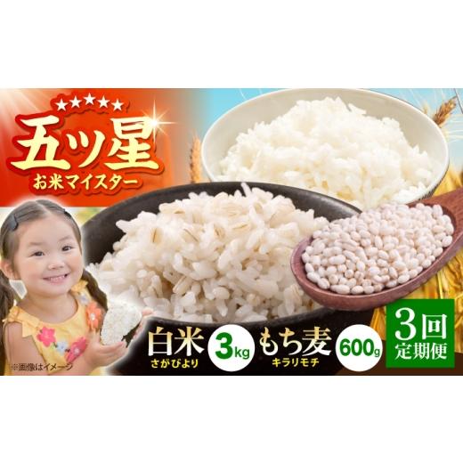 ふるさと納税 米 さがびより 佐賀県 江北町 全3回定期便 白米・もち麦セット( さがびより3kg ・ キラリモチ 300g×2袋 ) 大塚米穀店 麦 もち麦 米 精米 HBL…