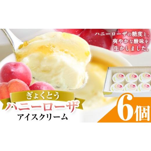 ふるさと納税 菓子 アイス 熊本県 玉東町 糖度17度の甘さ ハニーローザアイスクリーム 120ml 6個 熊本県 玉名郡 玉東町 すもも ハニーローザ アイス ぷらっと…