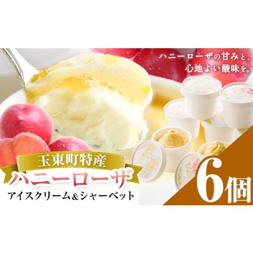 ふるさと納税 菓子 アイス 熊本県 玉東町 抜群の糖度と爽やかな酸味 ハニーローザアイスクリーム&ハニーローザシャーベット 120ml 6個 熊本県玉名郡玉東町 す…