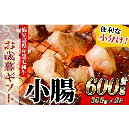 ふるさと納税 牛肉 ホルモン 鹿児島県 いちき串木野市 お歳暮 黒毛和牛 ホルモン 600g(300g×2P) 冷凍 小分け 国産 鹿児島県産 黒毛和牛 モツ 小腸 生ホルモ…