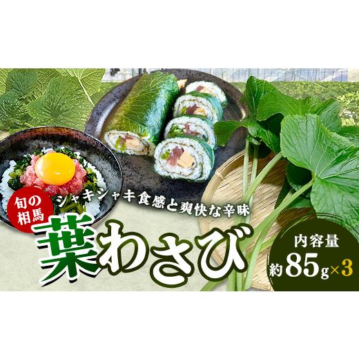 ふるさと納税 野菜類 薬味 福島県 相馬市 葉わさび 約255g 85g×3袋 旬の相馬 FAI-0110 葉わさび 85g×3