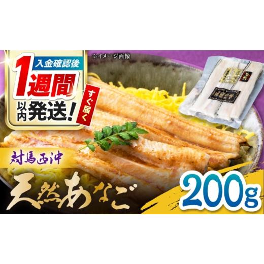 ふるさと納税 穴子・鱧 長崎県 対馬市 対馬産 西沖あなご 200g×1パック[対馬市] 保家商事 あなご 穴子 アナゴ 海鮮 海産物 魚介
