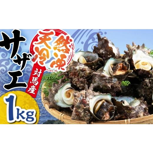 ふるさと納税 サザエ 長崎県 対馬市 対馬産 天然冷凍サザエ 1kg [対馬市] 保家商事 さざえ サザエ 刺し身 海鮮 魚貝 貝 海産物