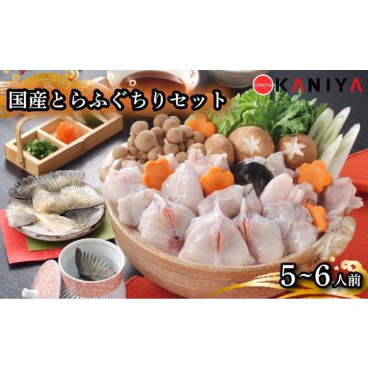ふるさと納税 フグ 山口県 下関市 国産 とらふぐちりセット 5~6人前 1kg 冷凍 ふぐ フグ とらふぐ ちり ふぐ料理 トラフグ 鍋 高級魚 魚介 海鮮 贈答 ギフト …