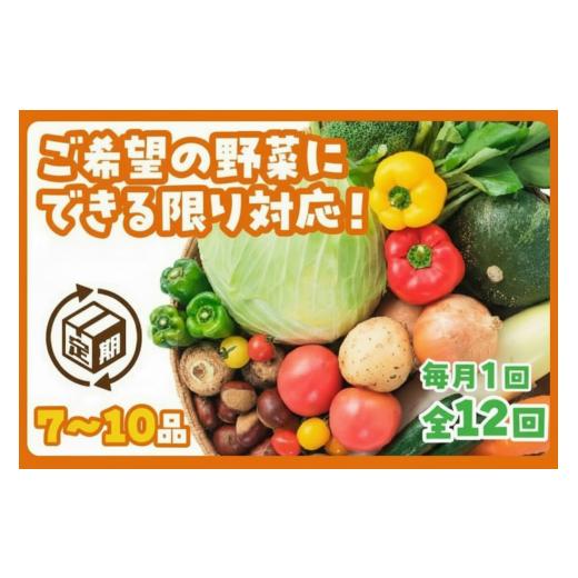 ふるさと納税 セット・詰合せ 山口県 山口市 A135 わがまま野菜定期便(年12回)