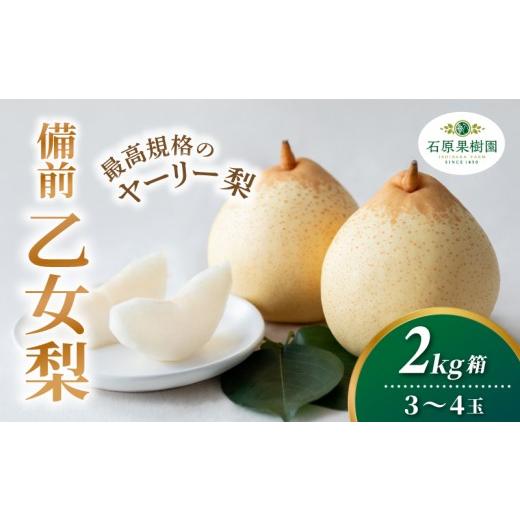 ふるさと納税 梨 岡山県 真庭市 備前乙女梨 ヤーリー梨 2kg箱 赤秀 3〜4玉入り 岡山県産 | ヤーリー梨 鴨梨 梨 特選品 上級品 贈り物 御歳暮 果物 くだもの フ…