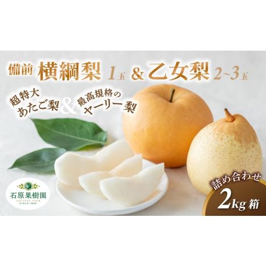 ふるさと納税 梨 岡山県 真庭市 詰め合わせ 2kg箱 赤秀 横綱梨1玉(1〜1.5kg玉) 乙女梨2〜3玉 岡山県産 | あたご梨 愛宕梨 ヤーリー梨 鴨梨 梨 特選品 上級品 …