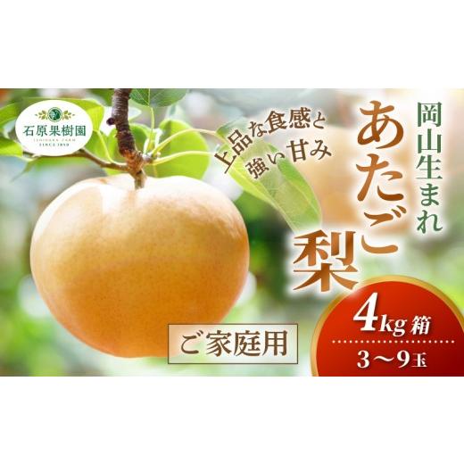 ふるさと納税 梨 岡山県 真庭市 家庭用 あたご梨 4kg箱 青秀 3〜9玉 岡山県産 | あたご梨 愛宕梨 梨 ご家庭用 ご自宅用 御歳暮 果物 くだもの フルーツ 石原果…