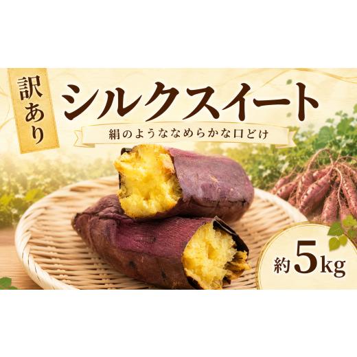 ふるさと納税 野菜類 サツマイモ 茨城県 筑西市 訳あり シルクスイート 約 5kg さつまいも 特別栽培 土付き 数量限定 新芋 しっとり なめらか 希少 サツマイモ…