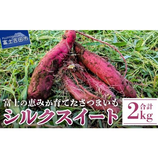 ふるさと納税 野菜類 サツマイモ 山梨県 富士吉田市 サツマイモ(シルクスイート)2kg さつまいも 富士シルク 野菜 根菜 焼き芋 ふかし芋 国産 富士吉田市産 …