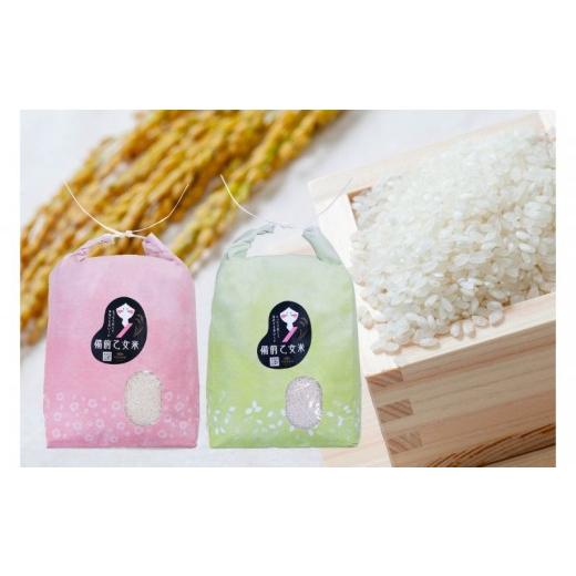 ふるさと納税 梨 岡山県 真庭市 令和8年産 新米 先行予約 備前乙女米 白米 5kg×2袋 岡山県産 | 米 お米 白米 精米 特A きぬむすめ 石原果樹園 ishk046-01