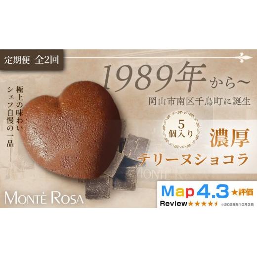 ふるさと納税 焼菓子・チョコレート パウンドケーキ 岡山県 岡山市 定期便・全2回 モンテローザ テリーヌショコラ(5個セット)×2回|バレンタイン ギフト …