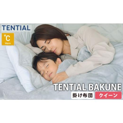 ふるさと納税 タオル・寝具 掛け布団 岡山県 倉敷市 [ クイーン ] TENTIAL BAKUNE 掛け布団 ウォーム グレー 布団 寝具 肌触り 睡眠 快適 丸洗い 丸洗いOK 5…