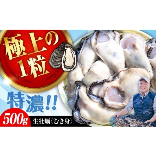ふるさと納税 牡蠣 生牡蠣 広島県 江田島市 3月31日(水) 着 加熱用生牡蠣 むき身 500g 広島県江田島市/有限会社テツマル海産 XCO001-060 3月31日(水) 着