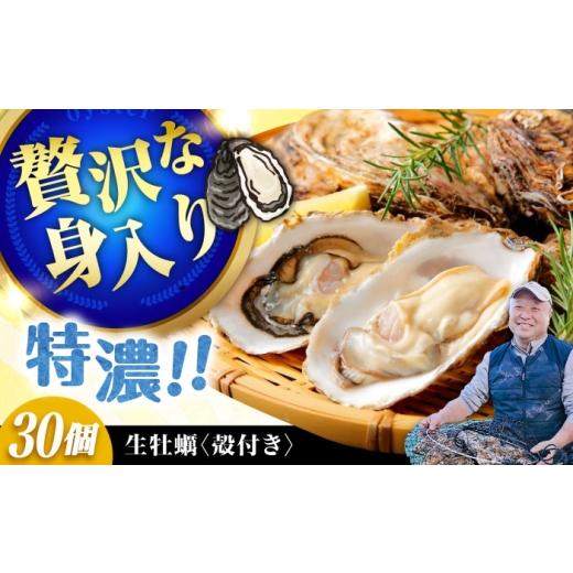 ふるさと納税 牡蠣 生牡蠣 広島県 江田島市 3月31日(水) 着 加熱用生牡蠣 殻付き 30個 広島県江田島市/有限会社テツマル海産 XCO007-060 3月31日(水) 着