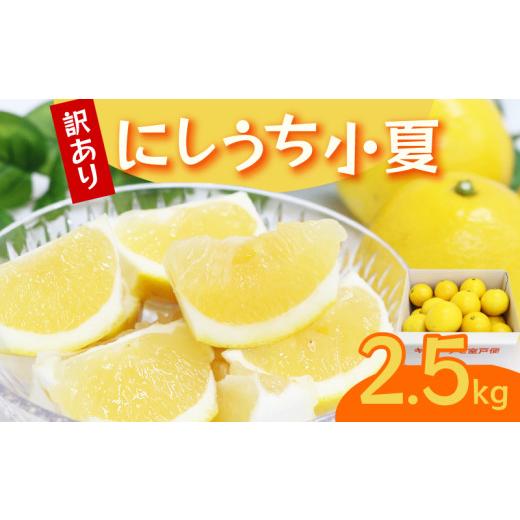 ふるさと納税 みかん・柑橘類 高知県 室戸市 先行予約 訳あり 室戸 小夏 2.5kg | 柑橘 フルーツ 果物 期間限定 旬の果物 ご家庭用 生産者 農家 直送 5000 円 …