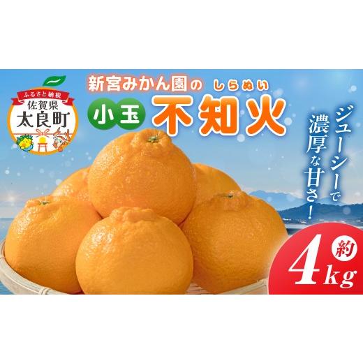 ふるさと納税 果物類 みかん 佐賀県 太良町 新宮みかん園の不知火(S〜M)4kg 2026年4月上旬〜5月上旬まで順次発送予定 みかん ミカン 蜜柑 たらみかん 太良み…