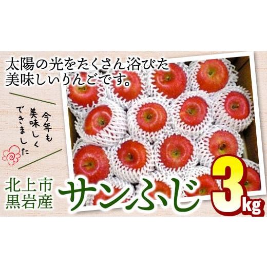 ふるさと納税 りんご 岩手県 北上市 りんご サンふじ 約 3kg 11月から発送予定 フジ さんふじ 贈答 お歳暮 ギフト 冬の贈り物 プレゼント 厳選 甘い 冬 果物 …