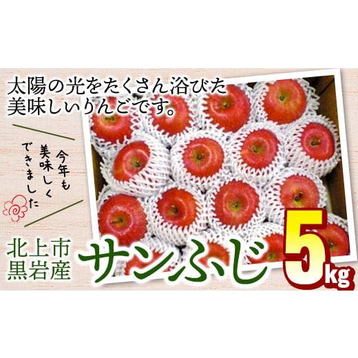 ふるさと納税 りんご 岩手県 北上市 りんご( サンふじ )約5kg 11月より発送開始 くろいわ産直 フジ さんふじ 贈答 お歳暮 ギフト 冬の贈り物 プレゼント 厳…