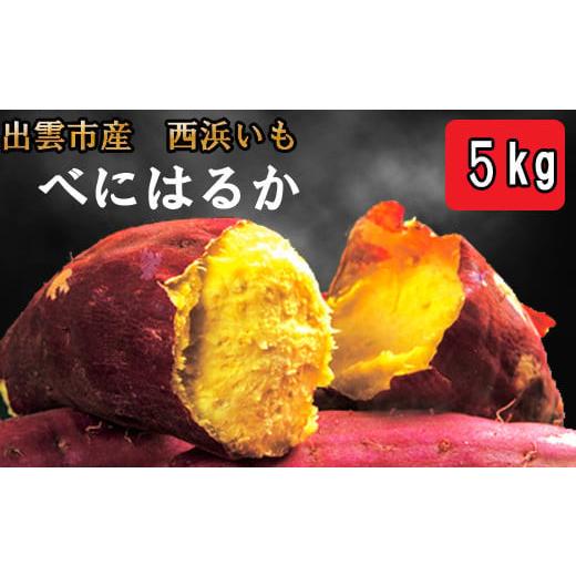 ふるさと納税 野菜類 サツマイモ 島根県 出雲市 西浜いも（べにはるか）5kgの画像