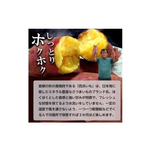 ふるさと納税 野菜類 サツマイモ 島根県 出雲市 西浜いも（べにはるか）5kgの画像