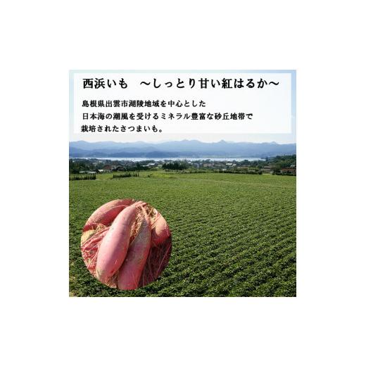 ふるさと納税 野菜類 サツマイモ 島根県 出雲市 西浜いも（べにはるか）5kgの画像