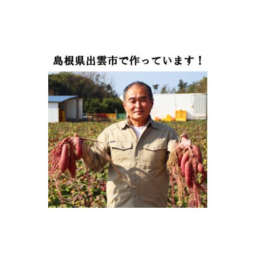 ふるさと納税 野菜類 サツマイモ 島根県 出雲市 西浜いも（べにはるか）5kgの画像