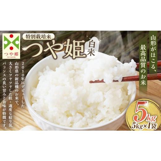 ふるさと納税 米 つや姫 山形県 白鷹町 令和7年産 [白米]つや姫 5kg 1回のお届け (特別栽培米) 山形県産 しらたかのお米 2025年11月上旬発送開始予定