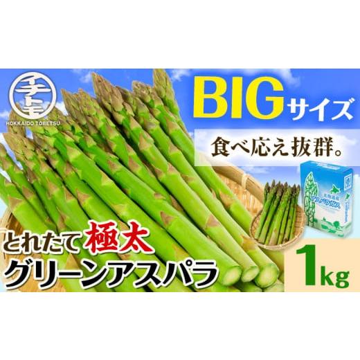 ふるさと納税 野菜類 アスパラガス 北海道 当別町 1.6-69 2026年先行受付 とれたて極太グリーンアスパラ1kg st-p