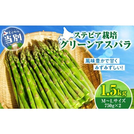 ふるさと納税 野菜類 アスパラガス 北海道 当別町 2026年先行予約 ステビア栽培グリーンアスパラ1.5kg 北海道 当別町 グリーンアスパラ アスパラ [2026…