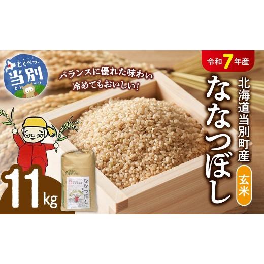 ふるさと納税 玄米 北海道 当別町 令和7年産 玄米ななつぼし11kg 北海道 当別町 [10月末〜(収穫出来次第、出荷)]